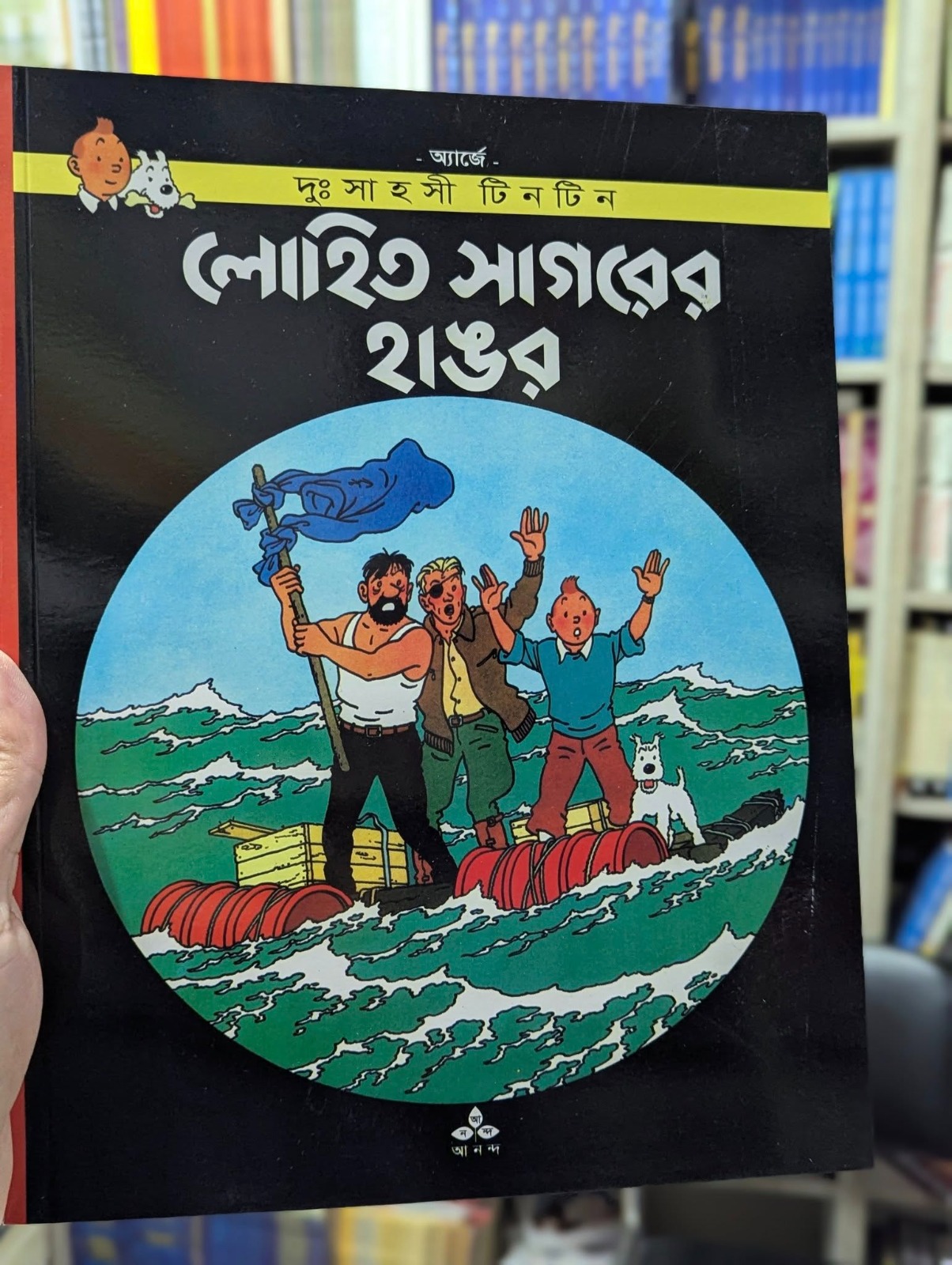 লোহিত সাগরের হাঙ্গর